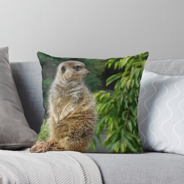 Item preview, Meerkat on the Lookout designed and sold by mashupofme.