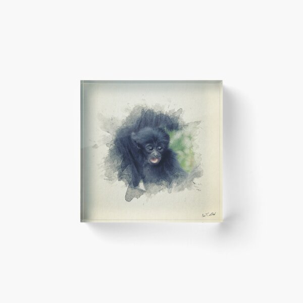 Item preview, Siamang monkey baby painting designed and sold by Pearcatprod.