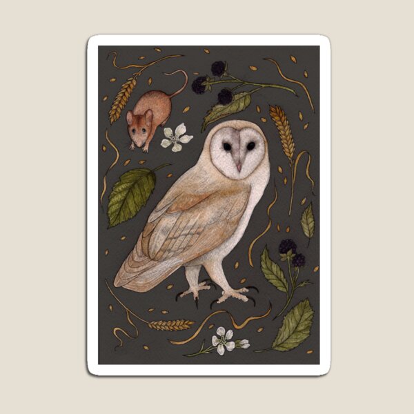 Barn Owl Magnet