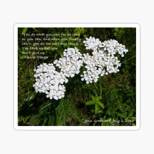 Words of Encouragement Floral Photography Sticker