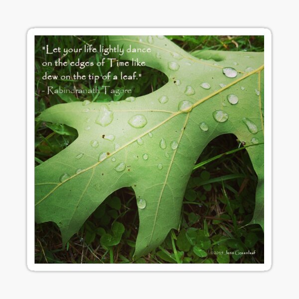 Inspirational Nature Themed Photography Sticker