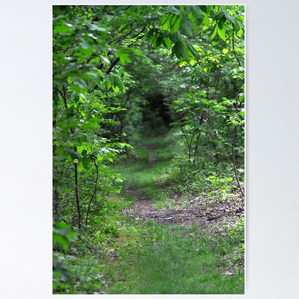 Artikelvorschau, The Disappearing Pathway entworfen und verkauft von Corkle.