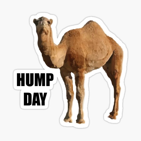 hump day mike ass