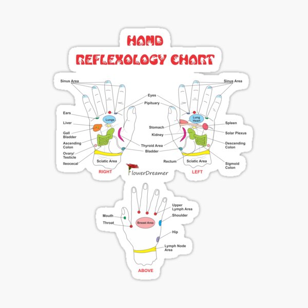 Item preview, Hand Reflexology Chart! designed and sold by FLOWERDREAMER.