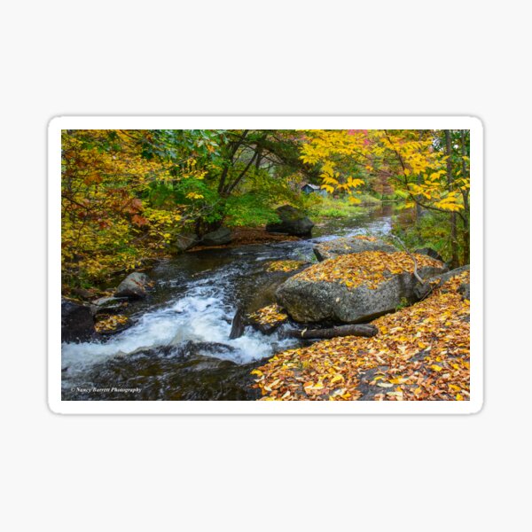 Pigeon Creek, Muskoka Sticker