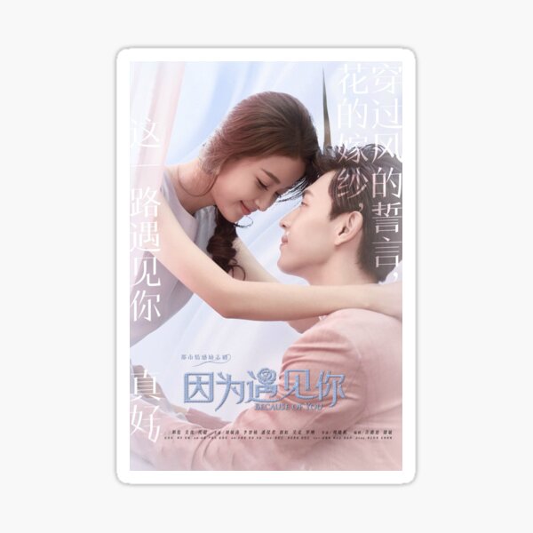 Because of You Chinese Drama tshirt Sticker