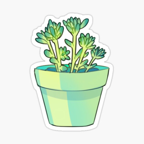 13 Sticker
