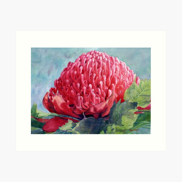 Item preview, Red Waratah designed and sold by Joe Cartwright.