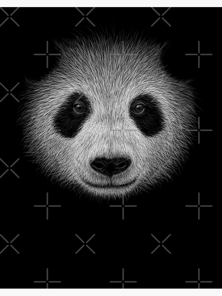 Funky Panda Fan Art Panda Bar Bleistift Skizze Geschenk Galeriedruck Von Skizzenmonster Redbubble