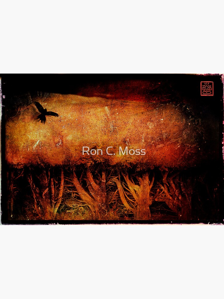 Thumbnail 3 of 3, Canvas Print, f l e e t i n g designed and sold by Ron C. Moss.