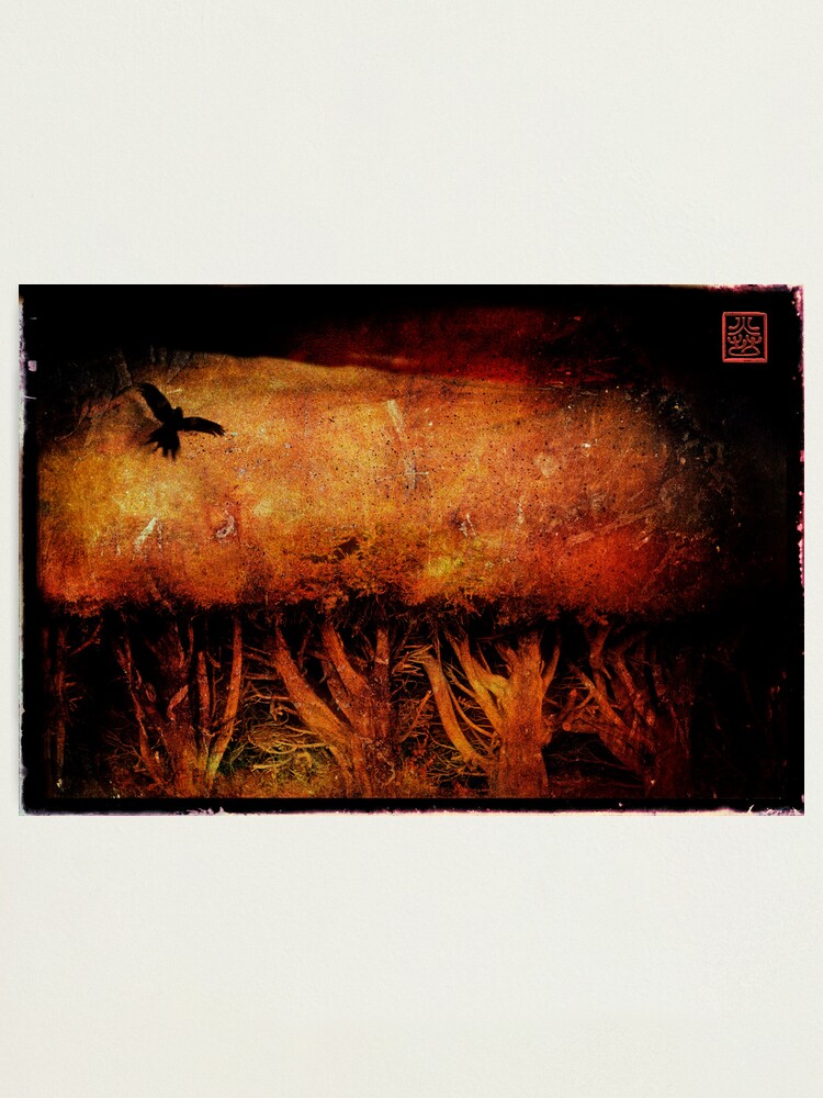 Alternate view of f l e e t i n g Photographic Print