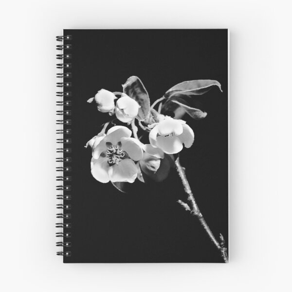 Item preview, Pear blossom. designed and sold by Paul Pasco.