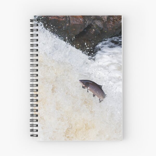 Item preview,  leaping Atlantic salmon designed and sold by chanonry.