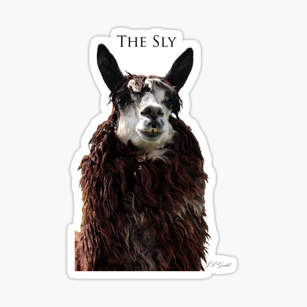 The Sly Sticker
