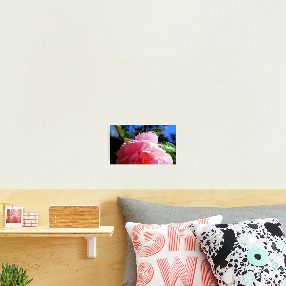 Item preview, Photographic Print designed and sold by Rinaldo44.