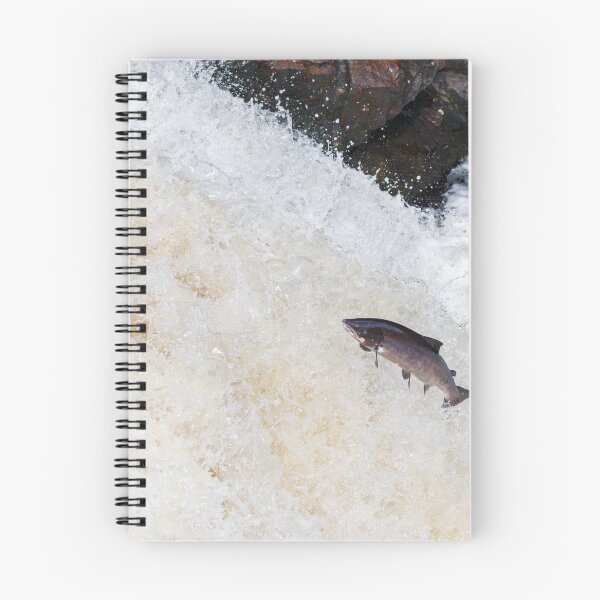 Item preview,  leaping Atlantic salmon designed and sold by chanonry.