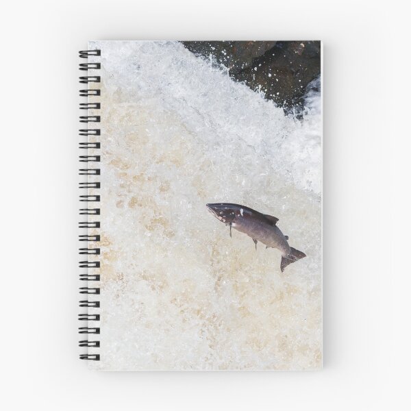 Item preview,  leaping Atlantic salmon designed and sold by chanonry.