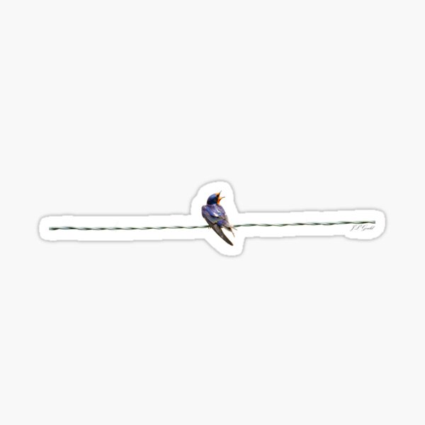 Barn Swallow Sticker