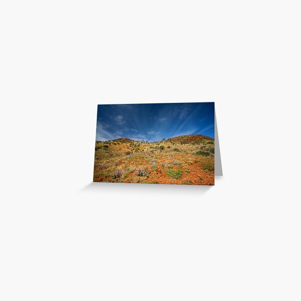 Gammon Ranges Mulla Mulla Greeting Card