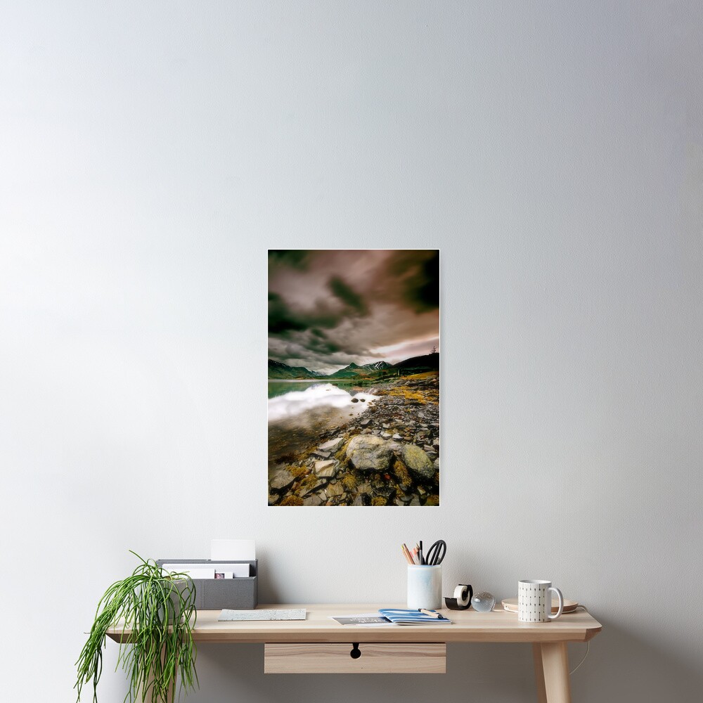 Item preview, Poster designed and sold by tontoshorse.