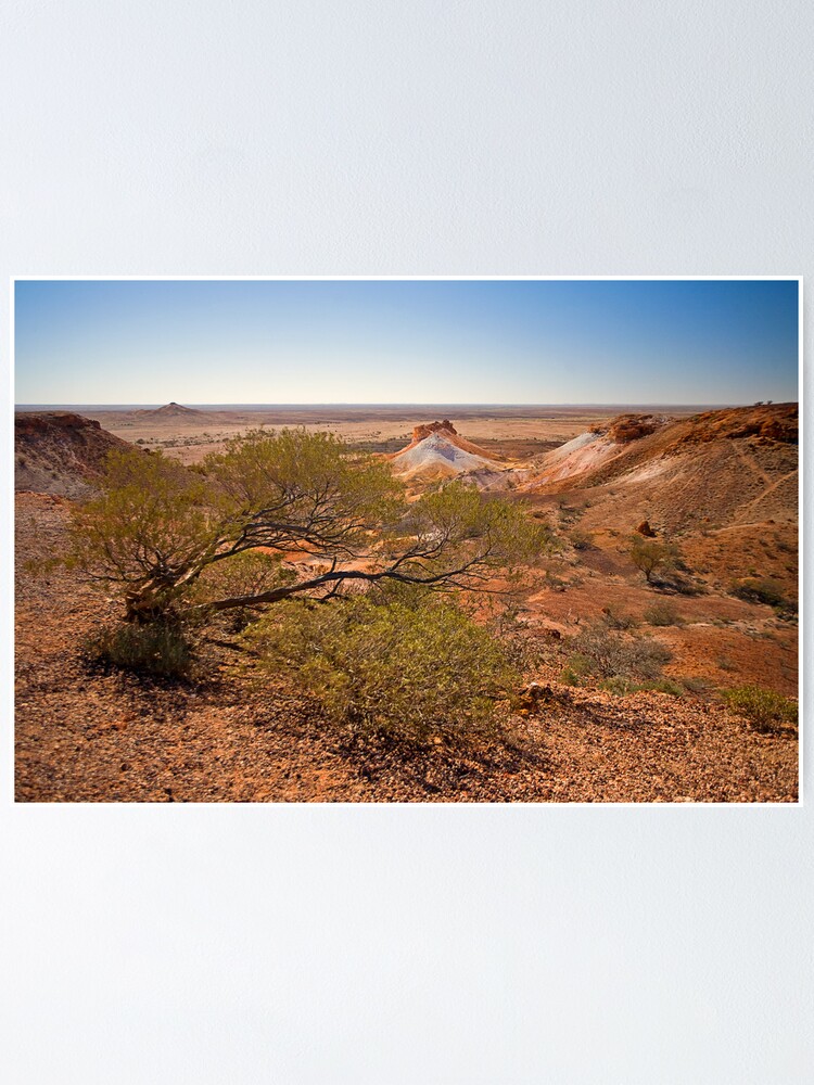 Alternate view of Exposed Tree, Breakaways, Coober Pedy,SA Poster