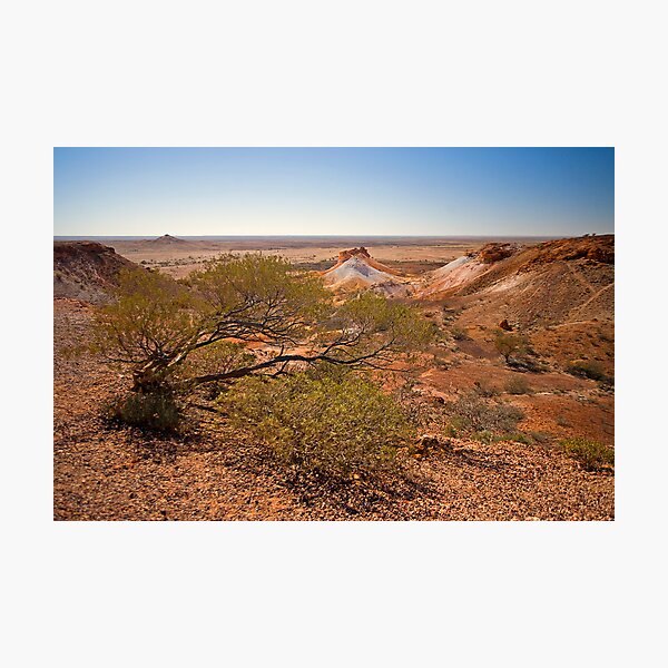 Exposed Tree, Breakaways, Coober Pedy,SA Photographic Print