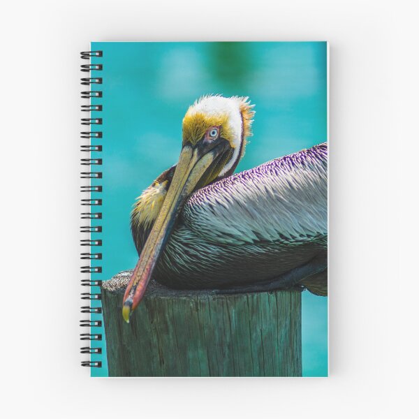 Item preview, colorful Florida Pelican designed and sold by fineartbyK.