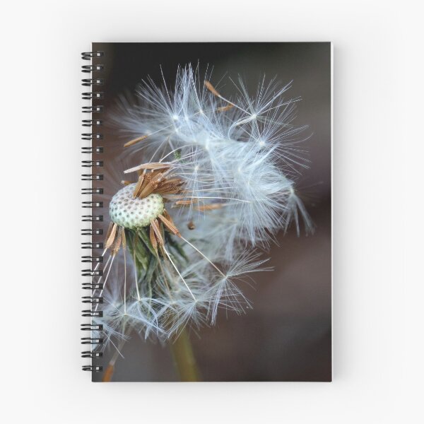 Item preview, Dandelion seed head designed and sold by BryanDevon.
