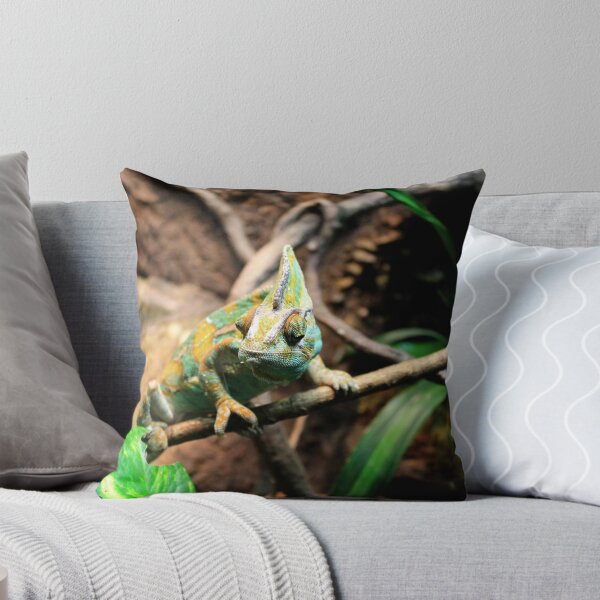Item preview, Allenwood, PA: Chameleon designed and sold by ACImaging.