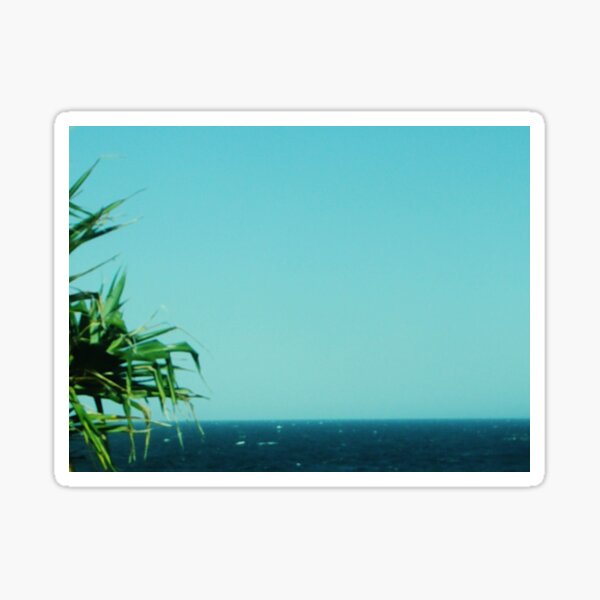 Pandanus,Sea 'n Sky Sticker
