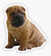 Pegatina Shar Pei