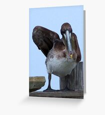 Enough With The Pictures Lady Greeting Card