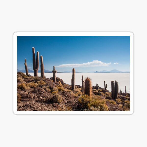 Isla del Pescado Sticker