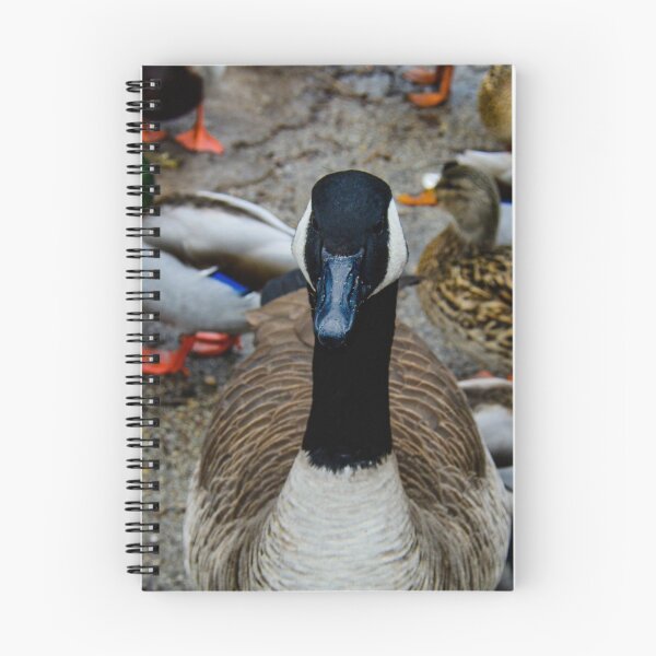 Item preview, Duck, Duck, Duck, Duck, Duck, Goose designed and sold by WhyGreenBay.