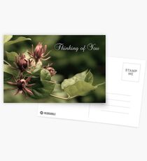 Thinking Of You Postcards
