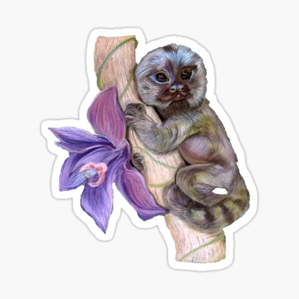 Item preview, Pygmy Marmoset designed and sold by MariaSibireva.