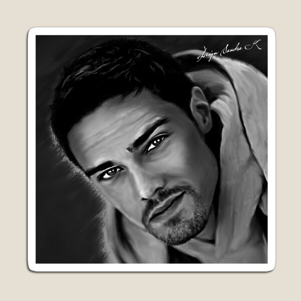 Jay Ryan Magnet