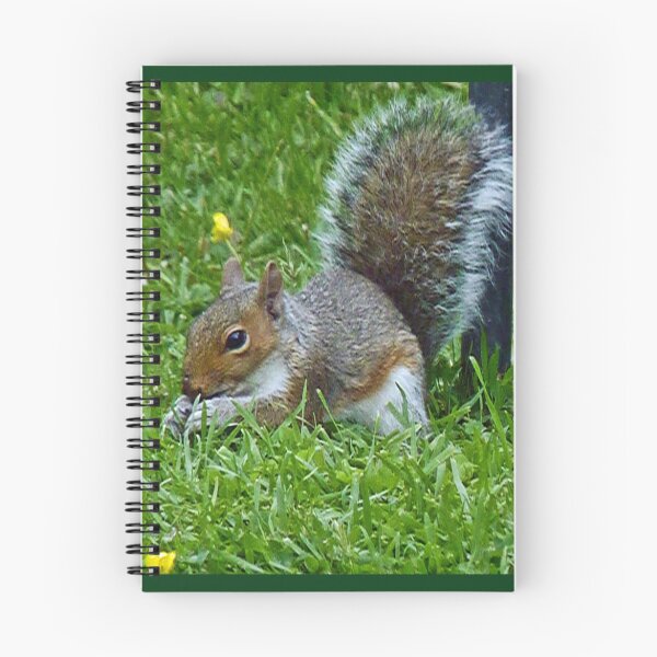 Item preview, My New Garden Visitor  designed and sold by lynn carter.