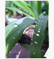 Vivifying moisture Poster