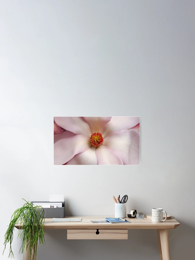Thumbnail 2 of 3, Poster, Magnolia In Spring designed and sold by MoonLiteStudio.
