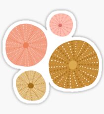 Seeigel in Gold + Koralle Sticker