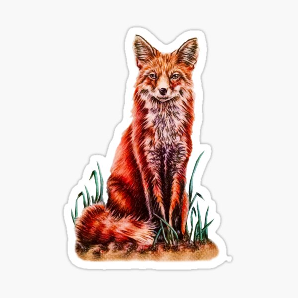 Item preview, Red Fox Woodland Animal Drawing on Grass designed and sold by ArtistryByLM.