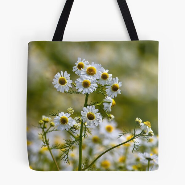 Item preview, Wild Chamomile designed and sold by Violaman.
