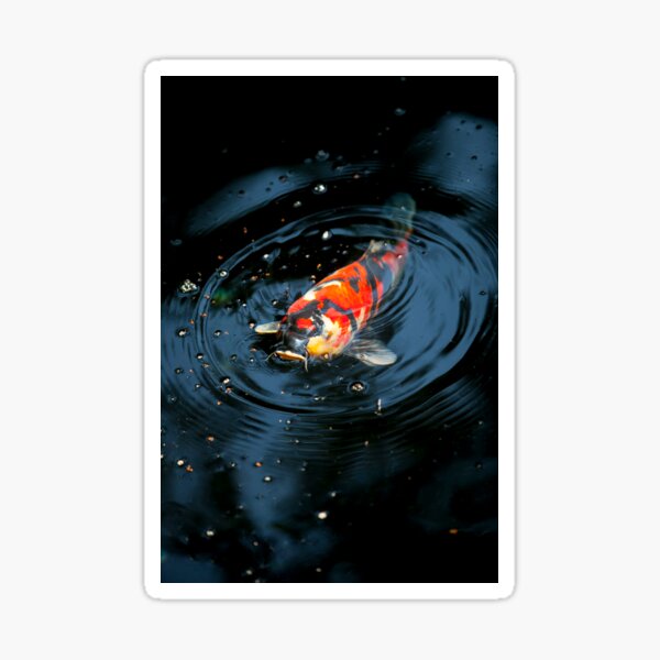 Japanese Koi Sticker
