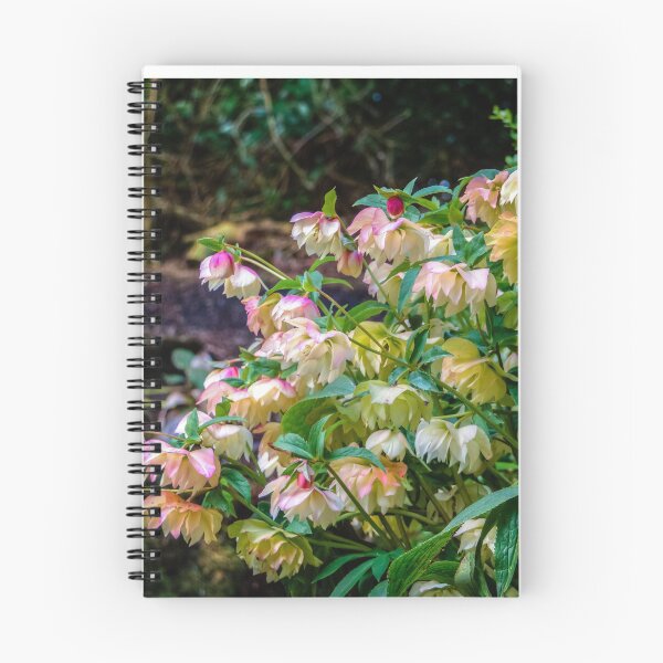 Item preview, Profusion of Hellebores designed and sold by Viv Thompson Photography .