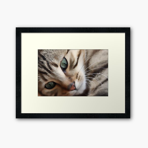 Item preview, Eyes of a Tabby Cat designed and sold by simpsonvisuals.