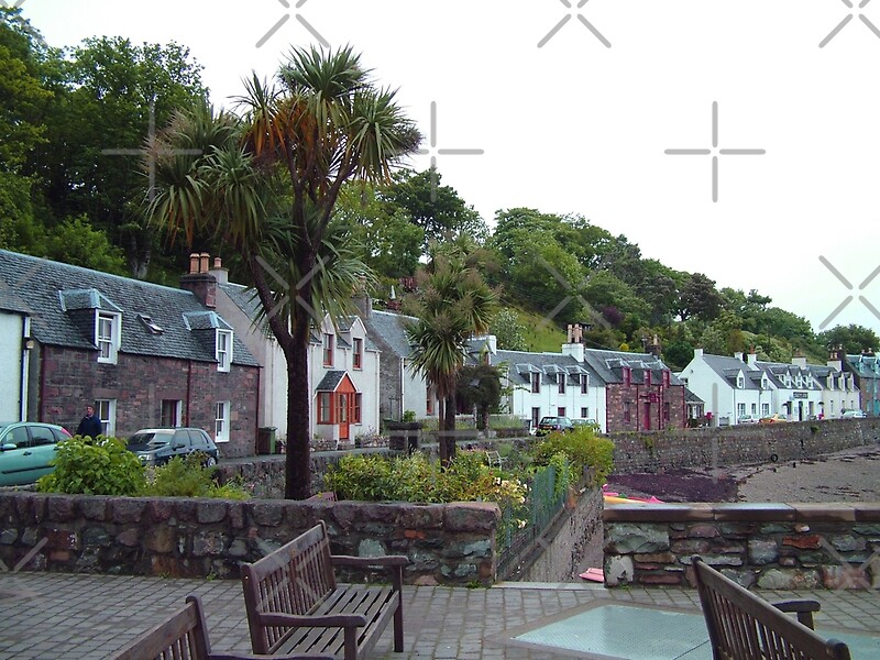 "Scottish Palm Trees" by Tom Gomez Redbubble