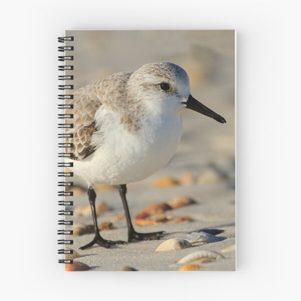 Item preview, Sandpiper Portrait designed and sold by WorldDesign.