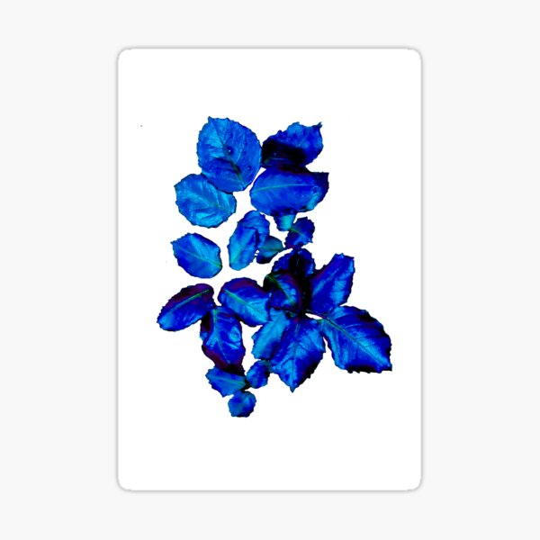 2014 Winter 2 Sticker