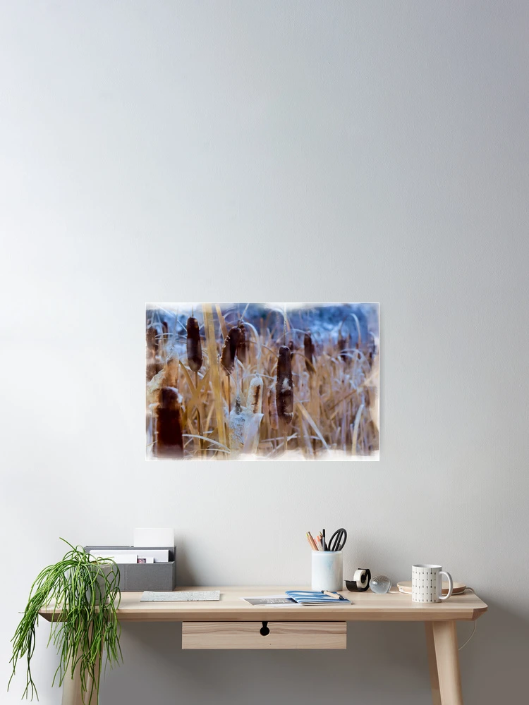 Thumbnail 2 of 3, Poster, Bull Rushes. designed and sold by CanadianWild418.